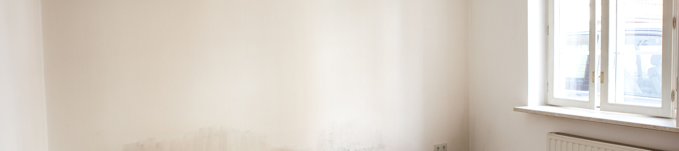 Schimmelflecken an weißer Wand