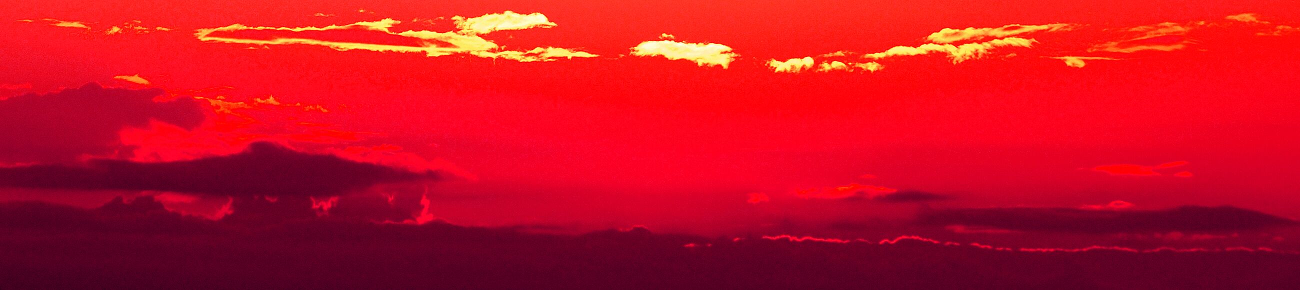 Ein roter Himmel, Wolken und ein fliegender Vogel am oberen Bildrand