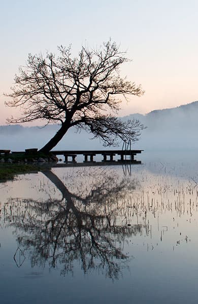 Nebel im November