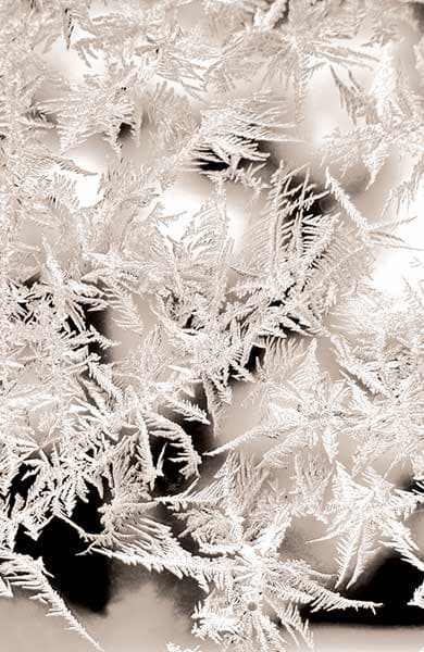 Zeit der Eisblumen